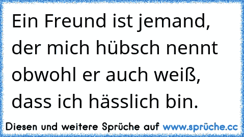 Ein Freund ist jemand, der mich hübsch nennt obwohl er auch weiß, dass ich hässlich bin.