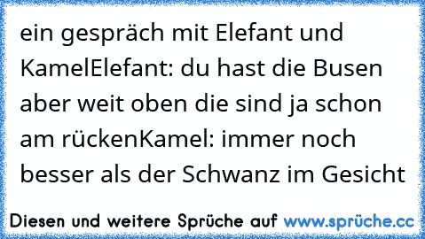 ein gespräch mit Elefant und Kamel
Elefant: du hast die Busen aber weit oben die sind ja schon am rücken
Kamel: immer noch besser als der Schwanz im Gesicht