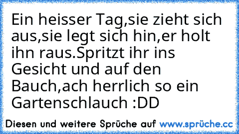 Ein heisser Tag,sie zieht sich aus,sie legt sich hin,er holt ihn raus.Spritzt ihr ins Gesicht und auf den Bauch,ach herrlich so ein Gartenschlauch :DD