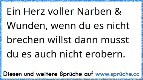 Ein Herz voller Narben & Wunden, wenn du es nicht brechen willst dann musst du es auch nicht erobern.