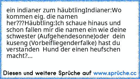 ein indianer zum häubtling
Indianer:Wo kommen eig. die namen her???
Häubtling:Ich schaue hinaus und schon fallen mir die namen ein wie deine schwester (Aufgehendesonne)
oder  dein kuseng (Vorbeifliegenderfalke) hast du verstanden  Hund der einen heufschen macht?...