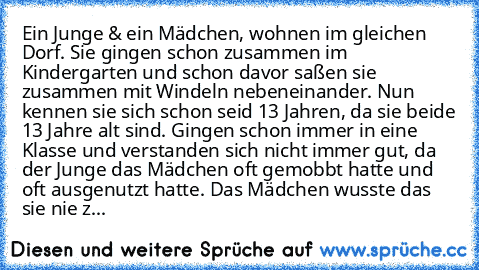 Ein Junge & ein Mädchen, wohnen im gleichen Dorf. Sie gingen schon zusammen im Kindergarten und schon davor saßen sie zusammen mit Windeln nebeneinander. Nun kennen sie sich schon seid 13 Jahren, da sie beide 13 Jahre alt sind. Gingen schon immer in eine Klasse und verstanden sich nicht immer gut, da der Junge das Mädchen oft gemobbt hatte und oft ausgenutzt hatte. Das Mädchen wusste das sie ni...