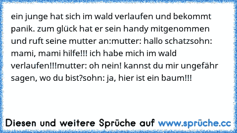 ein junge hat sich im wald verlaufen und bekommt panik. zum glück hat er sein handy mitgenommen und ruft seine mutter an:
mutter: hallo schatz
sohn: mami, mami hilfe!!! ich habe mich im wald verlaufen!!!
mutter: oh nein! kannst du mir ungefähr sagen, wo du bist?
sohn: ja, hier ist ein baum!!!