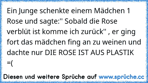 Ein Junge schenkte einem Mädchen 1 Rose und sagte:'' Sobald die Rose verblüt ist komme ich zurück'' , er ging fort das mädchen fing an zu weinen und dachte nur DIE ROSE IST AUS PLASTIK =( 