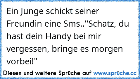 Ein Junge schickt seiner Freundin eine Sms..
"Schatz, du hast dein Handy bei mir vergessen, bringe es morgen vorbei!"