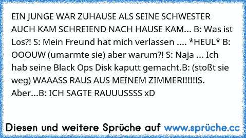 EIN JUNGE WAR ZUHAUSE ALS SEINE SCHWESTER AUCH KAM SCHREIEND NACH HAUSE KAM...
 B: Was ist Los?!
 S: Mein Freund hat mich verlassen .... *HEUL*
 B: OOOUW (umarmte sie) aber warum?!
 S: Naja ... Ich hab seine Black Ops Disk kaputt gemacht.
B: (stoßt sie weg) WAAASS RAUS AUS MEINEM ZIMMER!!!!!!
S. Aber...
B: ICH SAGTE RAUUUSSSS 
xD