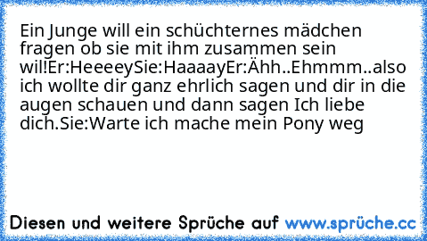 Ein Junge will ein schüchternes mädchen fragen ob sie mit ihm zusammen sein wil!
Er:Heeeey
Sie:Haaaay
Er:Ähh..Ehmmm..also ich wollte dir ganz ehrlich sagen und dir in die augen schauen und dann sagen Ich liebe dich.
Sie:Warte ich mache mein Pony weg