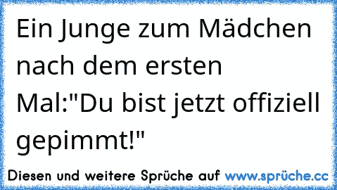 Ein Junge zum Mädchen nach dem ersten Mal:"Du bist jetzt offiziell gepimmt!"