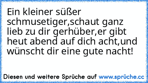 Ein kleiner süßer schmusetiger,schaut ganz lieb zu dir gerhüber,
er gibt heut abend auf dich acht,
und wünscht dir eine gute nacht!