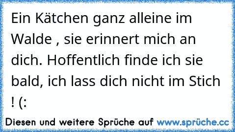 Ein Kätchen ganz alleine im Walde , sie erinnert mich an dich. Hoffentlich finde ich sie bald, ich lass dich nicht im Stich ! (: 