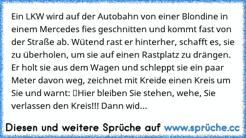 Ein LKW wird auf der Autobahn von einer Blondine in einem Mercedes fies geschnitten und kommt fast von der Straße ab. Wütend rast er hinterher, schafft es, sie zu überholen, um sie auf einen Rastplatz zu drängen. Er holt sie aus dem Wagen und schleppt sie ein paar Meter davon weg, zeichnet mit Kreide einen Kreis um Sie und warnt: “Hier bleiben Sie stehen, wehe, Sie verlassen den Kreis!!!” Dann ...