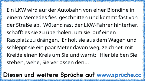 Ein LKW wird auf der Autobahn von einer Blondine in einem Mercedes fies  geschnitten und kommt fast von der Straße ab.  Wütend rast der LKW-Fahrer hinterher, schafft es sie zu überholen, um sie  auf einen Rastplatz zu drängen.  Er holt sie aus dem Wagen und schleppt sie ein paar Meter davon weg, zeichnet  mit Kreide einen Kreis um Sie und warnt: "Hier bleiben Sie stehen, wehe, Sie verlassen den Kr...