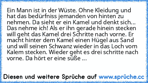 Ein Mann ist in der Wüste. Ohne Kleidung und hat das bedürfniss jemanden von hinten zu nehmen. Da sieht er ein Kamel und denkt sich... Das nehme ich! Als er ihn gerade hinein stecken will geht das Kamel drei Schritte nach vorne. Er macht hinter dem Kamel einen Hügel aus Sand und will seinen Schwanz wieder in das Loch vom Kalem stecken. Wieder geht es drei schritte nach vorne. Da hört er eine sü...