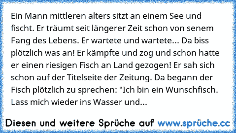 Ein Mann mittleren alters sitzt an einem See und fischt. Er träumt seit längerer Zeit schon von senem Fang des Lebens. Er wartete und wartete... Da biss plötzlich was an! Er kämpfte und zog und schon hatte er einen riesigen Fisch an Land gezogen! Er sah sich schon auf der Titelseite der Zeitung. Da begann der Fisch plötzlich zu sprechen: "Ich bin ein Wunschfisch. Lass mich wieder ins Wasser und...