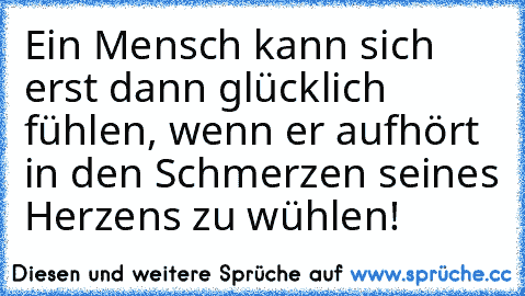 Ein Mensch kann sich erst dann glücklich fühlen, wenn er aufhört in den Schmerzen seines Herzens zu wühlen!
 ♥