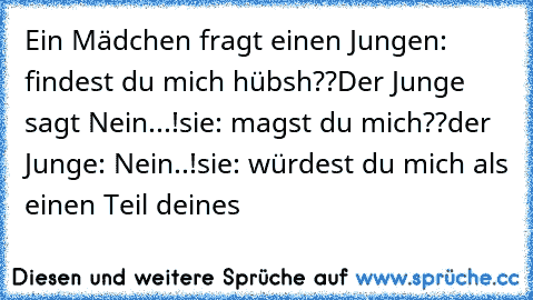 Ein Mädchen fragt einen Jungen: findest du mich hübsh??
Der Junge sagt Nein...!
sie: magst du mich??
der Junge: Nein..!
sie: würdest du mich als einen Teil deines 