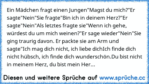 Ein Mädchen fragt einen Jungen
"Magst du mich?"
Er sagte
"Nein"
Sie fragte
"Bin ich in deinem Herz?"
Er sagte
"Nein"
Als letztes fragte sie
"Wenn ich gehe, würdest du um mich weinen?"
Er sage wieder
"Nein"
Sie ging traurig davon. Er packte sie am Arm und sagte
"Ich mag dich nicht, ich liebe dich
Ich finde dich nicht hübsch, ich finde dich wunderschön.
Du bist nicht in meinem Herz, du bist mein ...