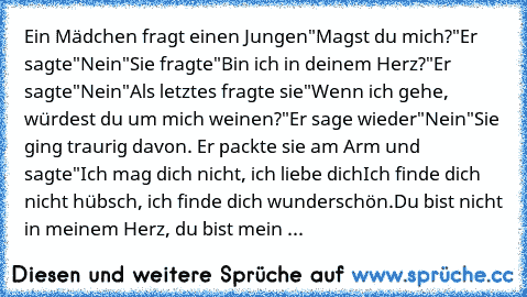 Ein Mädchen fragt einen Jungen
"Magst du mich?"
Er sagte
"Nein"
Sie fragte
"Bin ich in deinem Herz?"
Er sagte
"Nein"
Als letztes fragte sie
"Wenn ich gehe, würdest du um mich weinen?"
Er sage wieder
"Nein"
Sie ging traurig davon. Er packte sie am Arm und sagte
"Ich mag dich nicht, ich liebe dich
Ich finde dich nicht hübsch, ich finde dich wunderschön.
Du bist nicht in meinem Herz, du bist mein ...