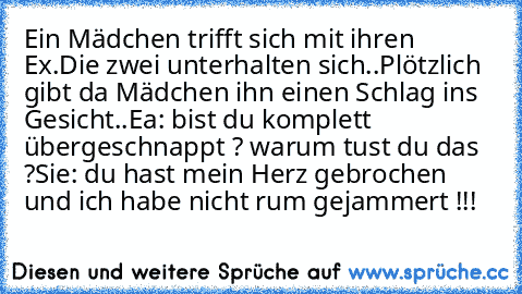 Ein Mädchen trifft sich mit ihren Ex.
Die zwei unterhalten sich..
Plötzlich gibt da Mädchen ihn einen Schlag ins Gesicht..
Ea: bist du komplett übergeschnappt ? warum tust du das ?
Sie: du hast mein Herz gebrochen und ich habe nicht rum gejammert !!!