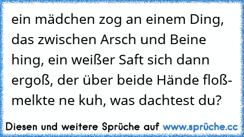 ein mädchen zog an einem Ding, das zwischen Arsch und Beine hing, ein weißer Saft sich dann ergoß, der über beide Hände floß- melkte ne kuh, was dachtest du?