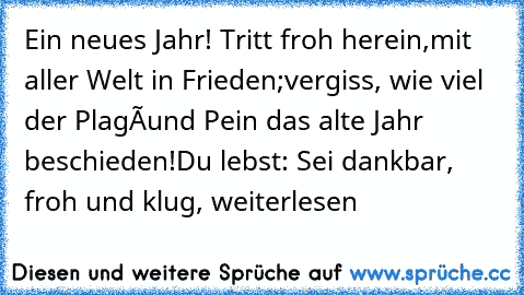 Ein neues Jahr! Tritt froh herein,mit aller Welt in Frieden;
vergiss, wie viel der PlagÂ´und Pein das alte Jahr beschieden!
Du lebst: Sei dankbar, froh und klug,
 weiterlesen… »