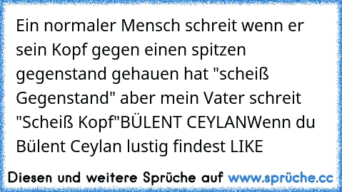 Ein normaler Mensch schreit wenn er sein Kopf gegen einen spitzen gegenstand gehauen hat "scheiß Gegenstand" aber mein Vater schreit "Scheiß Kopf"
BÜLENT CEYLAN
Wenn du Bülent Ceylan lustig findest LIKE