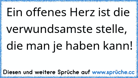 Ein offenes Herz ist die verwundsamste stelle, die man je haben kann!