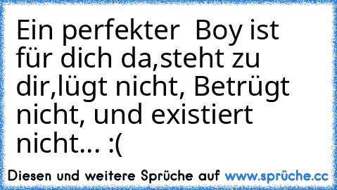 Ein perfekter  Boy ist für dich da,steht zu dir,lügt nicht, Betrügt nicht, und existiert nicht... :( ♥