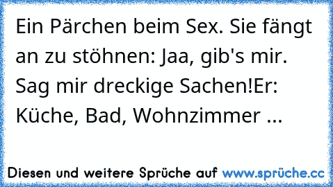 Ein Pärchen beim Sex. Sie fängt an zu stöhnen: Jaa, gib's mir. Sag mir dreckige Sachen!
Er: Küche, Bad, Wohnzimmer ...