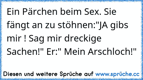 Ein Pärchen beim Sex. Sie fängt an zu stöhnen:"JA gibs mir ! Sag mir dreckige Sachen!" Er:" Mein Arschloch!"