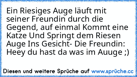 Ein Riesiges Auge läuft mit seiner Freundin durch die Gegend, auf einmal Kommt eine Katze Und Springt dem Riesen Auge Ins Gesicht- Die Freundin: Heey du hast da was im Auuge ;)