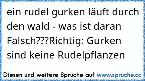 ein rudel gurken läuft durch den wald - was ist daran Falsch???
Richtig: Gurken sind keine Rudelpflanzen