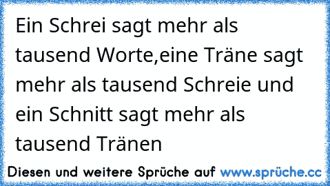 Ein Schrei sagt mehr als tausend Worte,eine Träne sagt mehr als tausend Schreie und ein Schnitt sagt mehr als tausend Tränen ♥