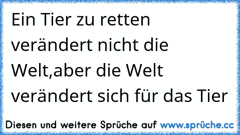 Ein Tier zu retten verändert nicht die Welt,
aber die Welt verändert sich für das Tier ♥