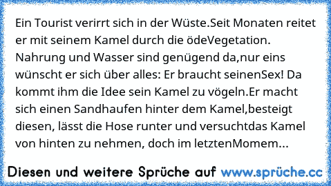 Ein Tourist verirrt sich in der Wüste.
Seit Monaten reitet er mit seinem Kamel durch die öde
Vegetation. Nahrung und Wasser sind genügend da,
nur eins wünscht er sich über alles: Er braucht seinen
Sex! Da kommt ihm die Idee sein Kamel zu vögeln.
Er macht sich einen Sandhaufen hinter dem Kamel,
besteigt diesen, lässt die Hose runter und versucht
das Kamel von hinten zu nehmen, doch im letzten
Momem...