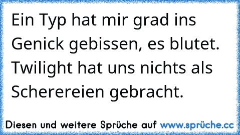 Ein Typ hat mir grad ins Genick gebissen, es blutet. Twilight hat uns nichts als Scherereien gebracht.