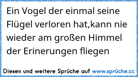 Ein Vogel der einmal seine Flügel verloren hat,
kann nie wieder am großen Himmel der Erinerungen fliegen