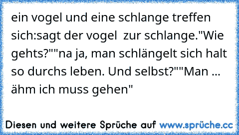 ein vogel und eine schlange treffen sich:
sagt der vogel  zur schlange."Wie gehts?"
"na ja, man schlängelt sich halt so durchs leben. Und selbst?"
"Man ... ähm ich muss gehen"