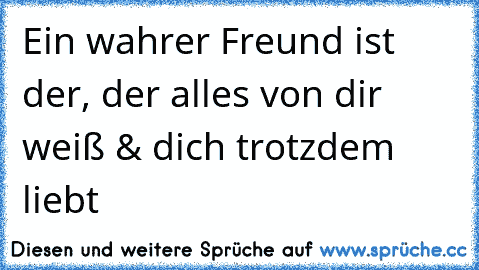 Ein wahrer Freund ist der, der alles von dir weiß & dich trotzdem liebt ♥