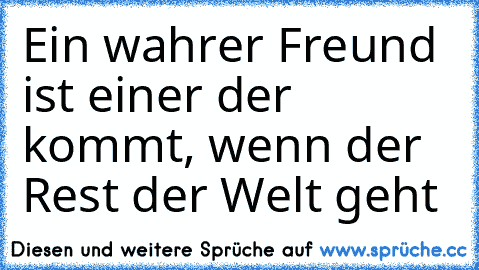 Ein wahrer Freund ist einer der kommt, wenn der Rest der Welt geht