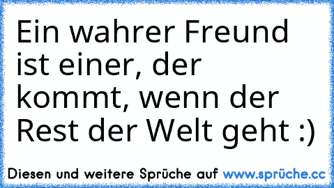 Ein wahrer Freund ist einer, der kommt, wenn der Rest der Welt geht :)