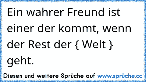 Ein wahrer Freund ist einer der kommt, wenn der Rest der { Welt } geht. ♥