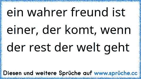 ein wahrer freund ist einer, der komt, wenn der rest der welt geht♥