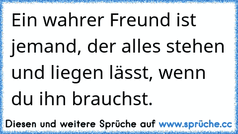 Ein wahrer Freund ist jemand, der alles stehen und liegen lässt, wenn du ihn brauchst. ♥