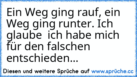 Ein Weg ging rauf, ein Weg ging runter. Ich glaube  ich habe mich für den falschen entschieden...