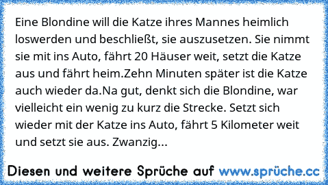 Eine Blondine will die Katze ihres Mannes heimlich loswerden und beschließt, sie auszusetzen. Sie nimmt sie mit ins Auto, fährt 20 Häuser weit, setzt die Katze aus und fährt heim.
Zehn Minuten später ist die Katze auch wieder da.
Na gut, denkt sich die Blondine, war vielleicht ein wenig zu kurz die Strecke. Setzt sich wieder mit der Katze ins Auto, fährt 5 Kilometer weit und setzt sie aus. Zwan...