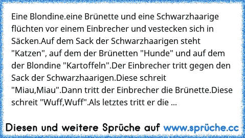 Eine Blondine.eine Brünette und eine Schwarzhaarige flüchten vor einem Einbrecher und vestecken sich in Säcken.Auf dem Sack der Schwarzhaarigen steht "Katzen", auf dem der Brünetten "Hunde" und auf dem der Blondine "Kartoffeln".Der Einbrecher tritt gegen den Sack der Schwarzhaarigen.Diese schreit "Miau,Miau".Dann tritt der Einbrecher die Brünette.Diese schreit "Wuff,Wuff".Als letztes tritt er d...