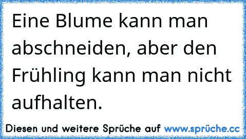 Eine Blume kann man abschneiden, aber den Frühling kann man nicht aufhalten.