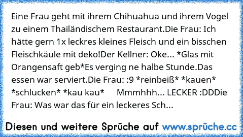 Eine Frau geht mit ihrem Chihuahua und ihrem Vogel zu einem Thailändischem Restaurant.
Die Frau: Ich hätte gern 1x leckres kleines Fleisch und ein bisschen Fleischkäule mit deko!
Der Kellner: Oke... *Glas mit Orangensaft geb*
Es verging ne halbe Stunde.
Das essen war serviert.
Die Frau: :9 *reinbeiß* *kauen* *schlucken* *kau kau*      Mmmhhh... LECKER :DD
Die Frau: Was war das für ein leckeres ...