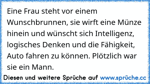 Eine Frau steht vor einem Wunschbrunnen, sie wirft eine Münze hinein und wünscht sich Intelligenz, logisches Denken und die Fähigkeit, Auto fahren zu können. Plötzlich war sie ein Mann.